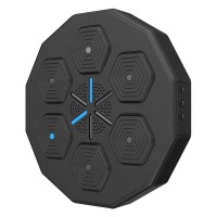 Електрична мішень для боксу з рукавичками EnergyFIT EF13